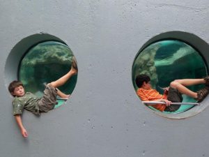 Hanging out at the Aquarium